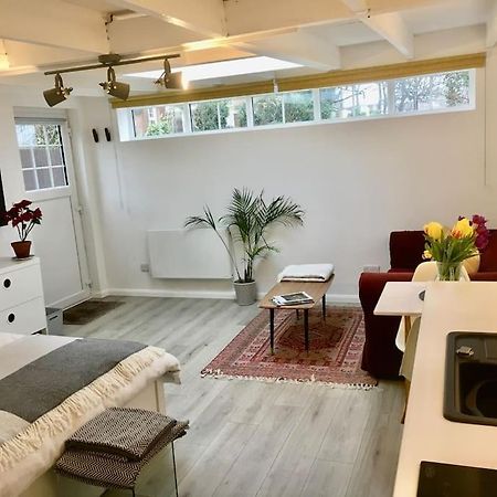 Brighton Boutique Garden Studio With Free Parking Bagian luar foto