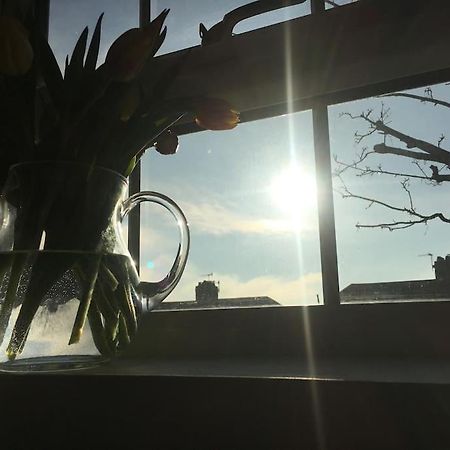 Brighton Boutique Garden Studio With Free Parking Bagian luar foto