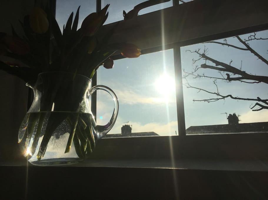 Brighton Boutique Garden Studio With Free Parking Bagian luar foto